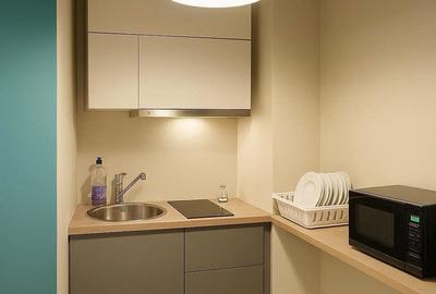 Apartament cu 2 camere semidecomandat în Universitate - 10