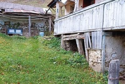 Casa la munte cu teren generos de 9340mp in zona Capalna - Valea Sebesului - 10