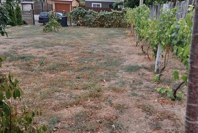 Spațiu comercial, în Central - 4