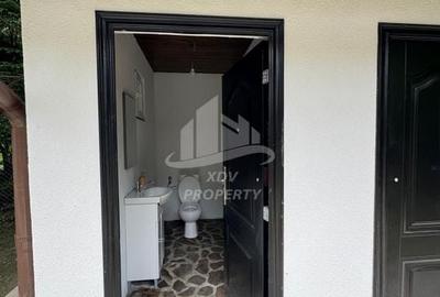 Pensiune/ Vila Valea Avrigului - 26