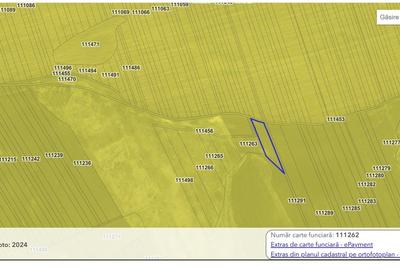 Teren Cavadinesti si Fartanesti-Galati - 2