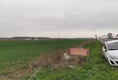 Teren de 45000 mp, în Mihail Kogălniceanu - 2