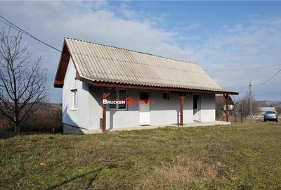 MICRO-FERMA CASA IN VOIVOZI - BIHOR - 5
