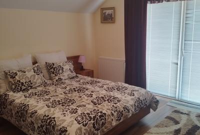 Casă individuală cu 5 camere cu Teren 1550 Mp în Platou - 6