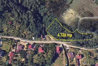 Teren Construcții intravilan de 4726 mp, în Morilor - 2