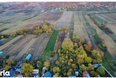 Teren de 3500 mp, în Sărari - 2
