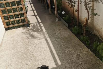 Casă cu 6 camere cu Teren 135 Mp în Alexandriei - 11