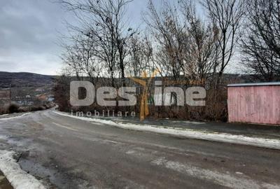 Teren de 10435 mp, în Stănilești - 2