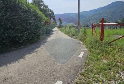 Teren 1,672mp Straja, Comuna Tarcau - 14