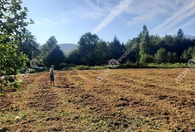 Teren intravilan de vanzare 1856 mp in Avrig zona Valea Avrigului - 6