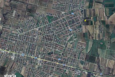 Teren de 737 mp, în Moșnița Nouă - 6