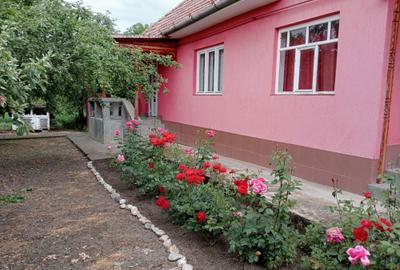 Casă cu 3 camere în Cecălaca - 3