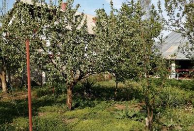 Casă cu 3 camere cu Teren 937 Mp în Vlădeni - 10