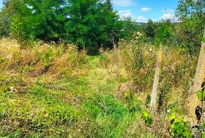 Casa de vanzare cu gradina - 2