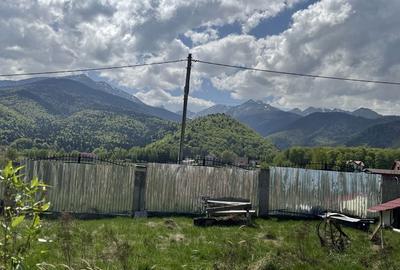 Teren de 4542 mp, în Sâmbăta de Sus - 2