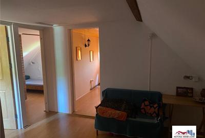 Cabana de Zona Bistra Muresului - Deda - 6