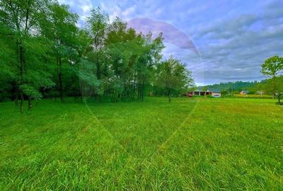 Teren de vanzare ideal pentru turism - 4