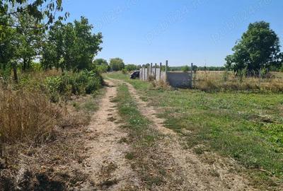 Teren de 5000 mp, în Central - 5