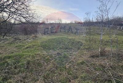 Teren de 2500 mp, în Odobești - 5