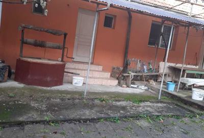 Casă cu 4 camere în Urviș de Beiuș - 2