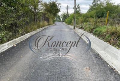 Teren intravilan generos cu utilitati si front larg in Jucu - 6