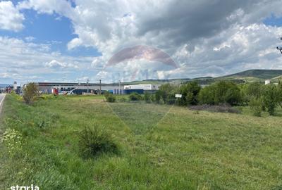 Teren de 13783 mp, în Florești - 3