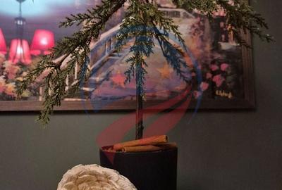 Garsonieră decomandată, mobilată în Central - 7