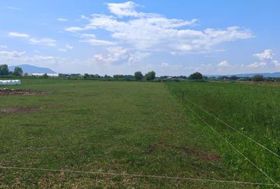Teren Construcții intravilan de 5000 mp, în Bod - 7