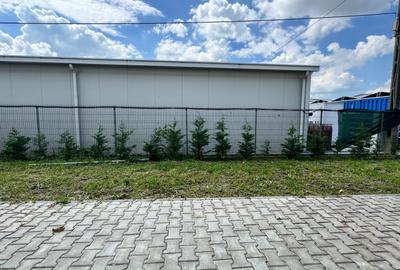 Duplex cu 4 camere cu Canalizare în Giroc - 8