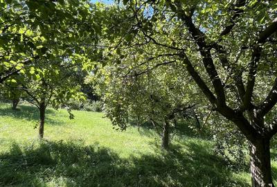 Teren de 3159 mp, în Galmeia