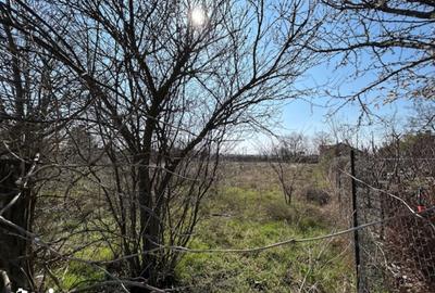 Teren de 1000 mp, în Corbu - 2