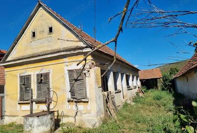 Casă cu 3 camere cu Teren 500 Mp în Păuliș - 1