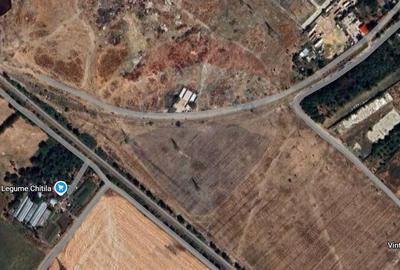 De vanzare | Teren industrial Chitila 2500 mp - 5