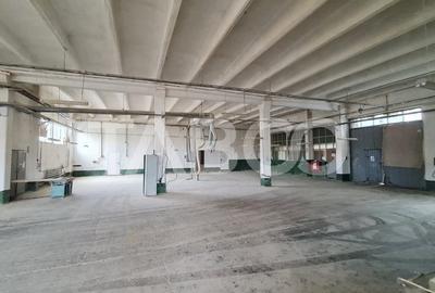 Hala cu suprafata de 2000 mp si birouri de inchiriat in Lancram Alba - 2