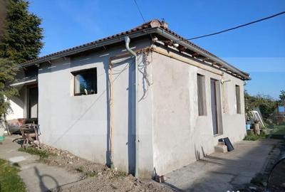 Casă cu 3 camere cu Teren 1550 Mp în Parța - 6