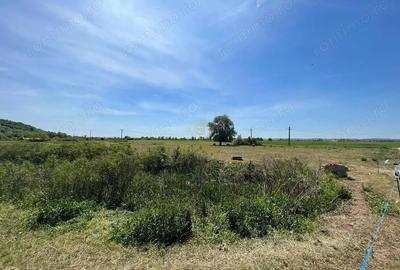 Teren de 14500 mp, în Săbișa - 3