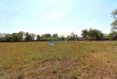 Teren intravilan de vanzare Banesti, Prahova - 3