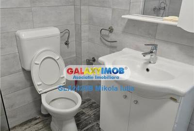 Casa 4 camere D P 142 mp Banu Manta - Titulescu - 5