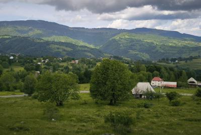 Teren agricol intravilan de 15000 mp, în Rogojel - 1