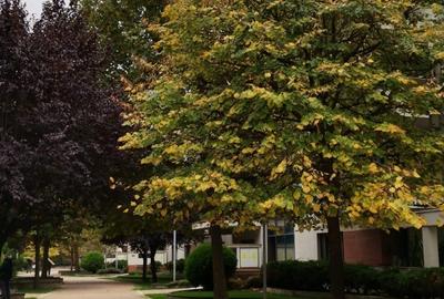 Dorobanti, Washington Residence, 5 camere, mobilat, terase 28 mp - 8