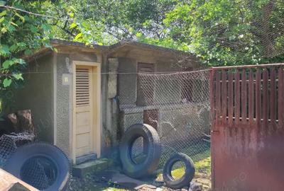 Vand proprietate ( casa si teren ) in Teis, Dambovita - 5