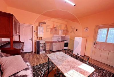 Casa de inchiriat in Baia Mare - 3