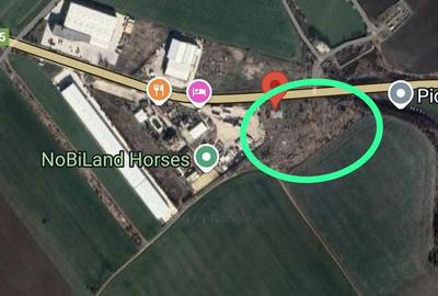 Teren de 18745 mp, în Găneasa - 16