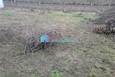 Teren intravilan 700 mp Sf. Ilie - 8