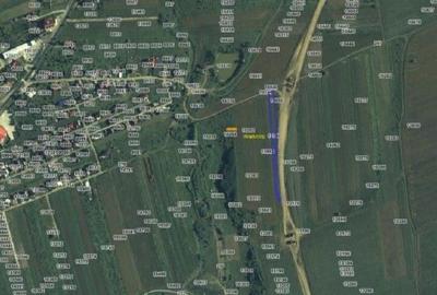 Teren de 2950 mp, în Albota - 3