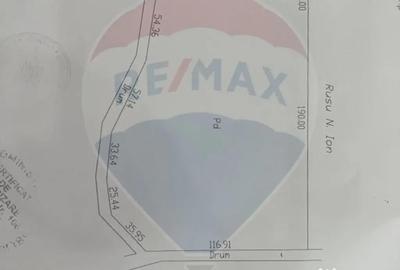 Teren de 25000 mp, în Răcoasa