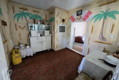 Casă cu 3 camere în Peceiu - 4