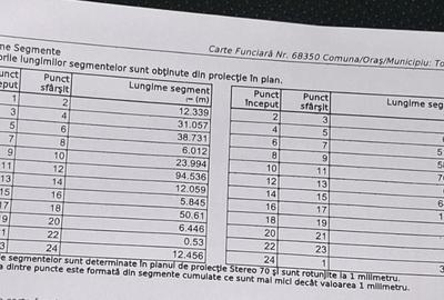 Spațiu comercial, în Tomești