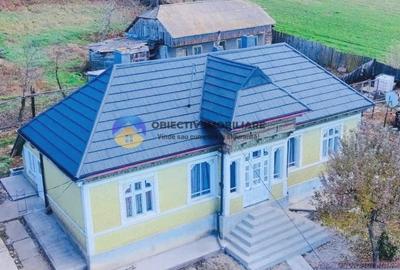 CASĂ + teren 3000 mp de vanzare - COSTIȘA - 13