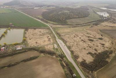 Teren extravilan in Ineu - 10